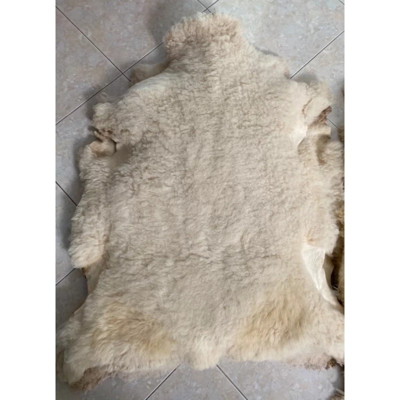 Zalea De Borrego, Piel De Borrego, Muy Pachona Y Limpia