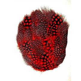 Pretty-Plumes Red Guinea Pheasant Feather Pads 12 Pc Hat Headband Purse Sew or Glue on