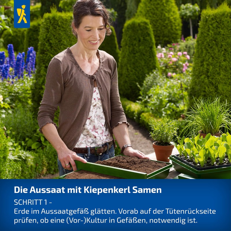 Kiepenkerl Radieschensamen Eiszapfen 101055