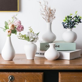 Sowlvenco White Bud Vase, Small Ceramic Vases for Home Decor, Mini Pottery Vases, Boho Vases for Pampas Grass, Decorative for Living Room Dining Table Shelves, Set of 5