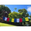 Guru Rinpoche Tibetan Prayer Flags From Nepal Set of 10