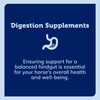 SmartPak SmartDigest Ultra Paste Digestive Health and Support Horse Supplement