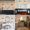 Shenmoyl Bathroom Light Fixtures, 2-Light Black Vanity Wall Light Over