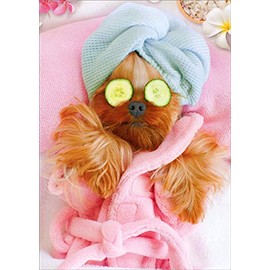 Portal Dog at Spa Funny/Humorous Feminine Birthday Card for Her/Woman