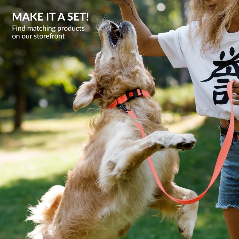 CollarDirect Reflective Dog Collar for Small Medium Large Dog Puppy