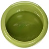 Living World Ergonomic Dish, Green, Large