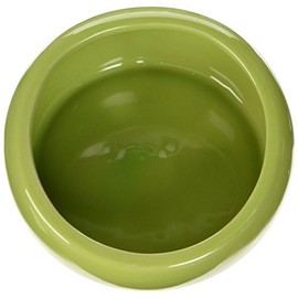 Living World Ergonomic Dish, Green, Large