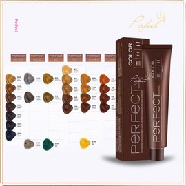 Perfect Professional Hair Color Dye Cream Shuishirun Jinghongda Salon Barber Beauty Dye Colour 90G Asian Dark Brown Natural Coloring