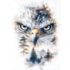 CALVENDO Puzzle Eagle | Size