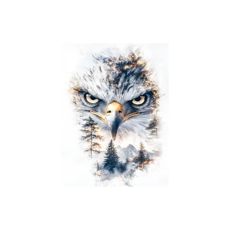 CALVENDO Puzzle Eagle | Size