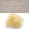 Osagi Kai Revelation Shampoo and Conditioner