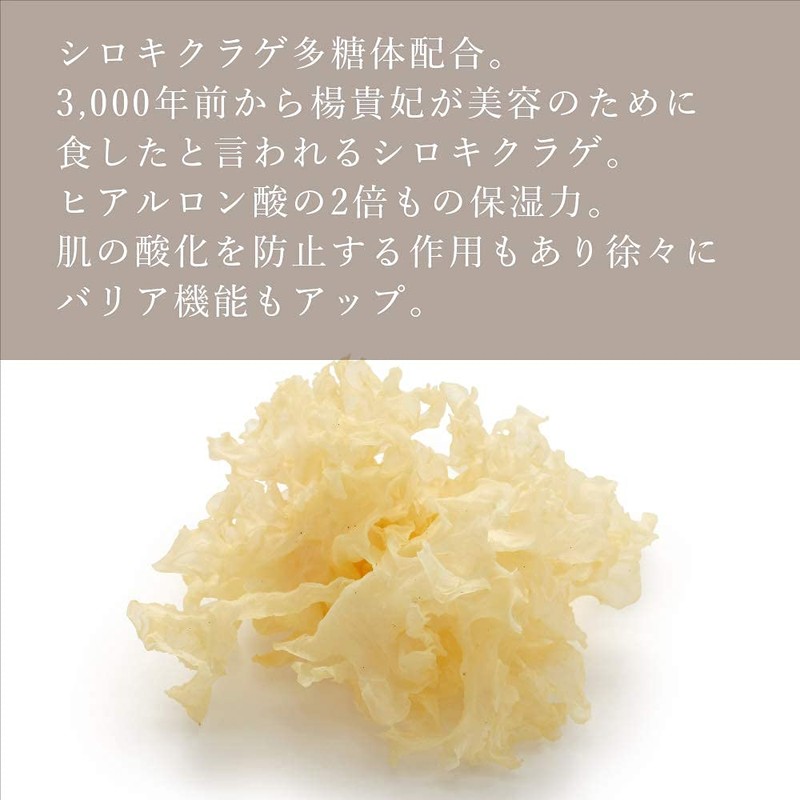 Osagi Kai Revelation Shampoo and Conditioner