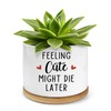 PWHINGN Feeling Cute Might Die Later Pot- Ceramic Engraved Succulent
