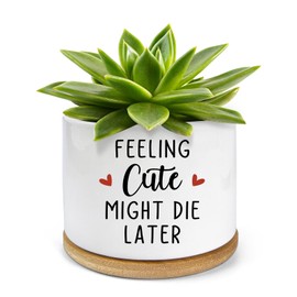PWHINGN Feeling Cute Might Die Later Pot- Ceramic Engraved Succulent Aloe Cactus Planter Pot, Funny Indoor Plant Pots with Bamboo Tray for Mom Grandma Teacher Gifts(Plant Not Included)