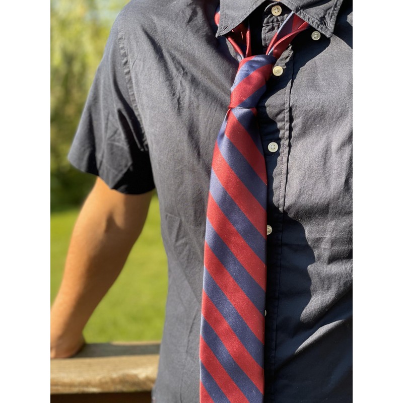 tiemart Striped Tie (Maroon and Navy)