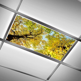 DIQISHIZHU Fluorescent Light Covers for Classroom Office - 2ft x 4ft LED Light Filters, Eliminate Harsh Glare & Eyestrain, Decorative Classroom Light Covers, Light Diffuser Panel.Golden Tree