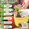Legigo 6 Pack Premium Coco Coir Brick for Plants- 100%