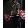Athletic Aesthetics Professional Lifting Straps (Padded) + Basic Exercise Guide