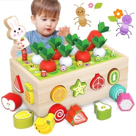 Juguetes Montessori, Juguetes Educativos de Madera para Niños Pequeños, Juguetes para Clasificar Formas de Frutas, Juegos de Motricidad Fina Preescolar, Regalos Divertidos para Niños y Niñas