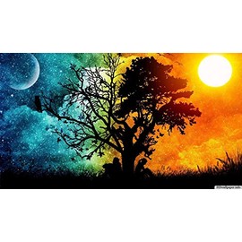 4Mybebe Diamond Painting 5D, Diamante Cuadrado Set de Arte, 30 x 40 cms Kit de Arte Decoracion 5D Diamond Painting, Arboles (Arbol Día y Noche)