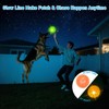 6-Pack 2.5” LED Light-Up Squeaky Dog Toy Balls ，Durable Interactive