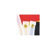 Stormflag Rhineland Palatinate Flag (90 cm x 150 cm) Polyester