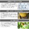 infique lamella lotion