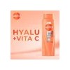Shampoo Sedal Care+ con Ácido Hialurónico y Vitamina C para