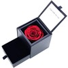 Sears Jewelry Case, Preserved Flowers, Roses, Diamond Rose, Antique Red