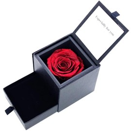 Sears Jewelry Case, Preserved Flowers, Roses, Diamond Rose, Antique Red 1218-31