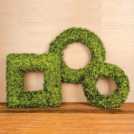 Skalny 18" Dx4 Round Preserved Green Boxwood Leaf Wreath