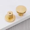 PACIOCEAN 10 Pack Round Dresser Knobs Gold Cabinet Knobs(1.18" Diameter),Solid