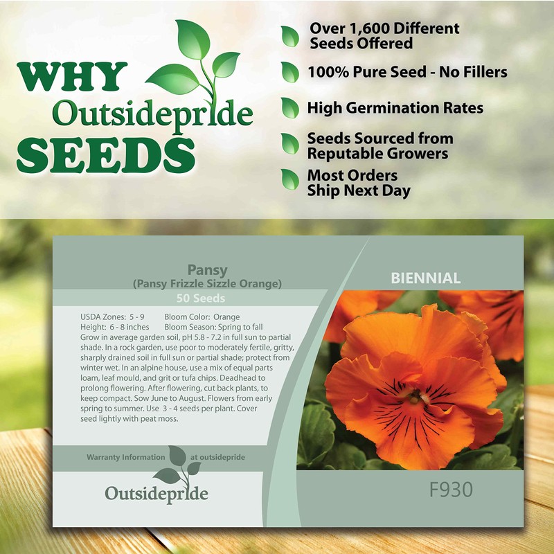 Outsidepride 50 Seeds Viola Pansy Frizzle Sizzle Orange Flower Seeds