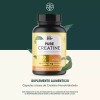 Life360+ Pure Creatine 180 Cápsulas Creatina Monohidratada Suplemente alimenticio