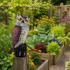 Fake Owl Decoy for Garden Yard Outdoor - Rotating Head