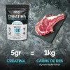 Pack Creatina Monohidratada Micronizada Polvo 100 Alta Pureza Certificada Sabor
