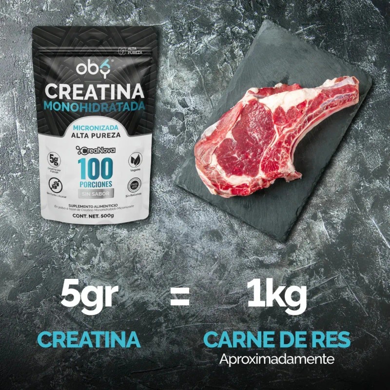 Pack Creatina Monohidratada Micronizada Polvo 100 Alta Pureza Certificada Sabor