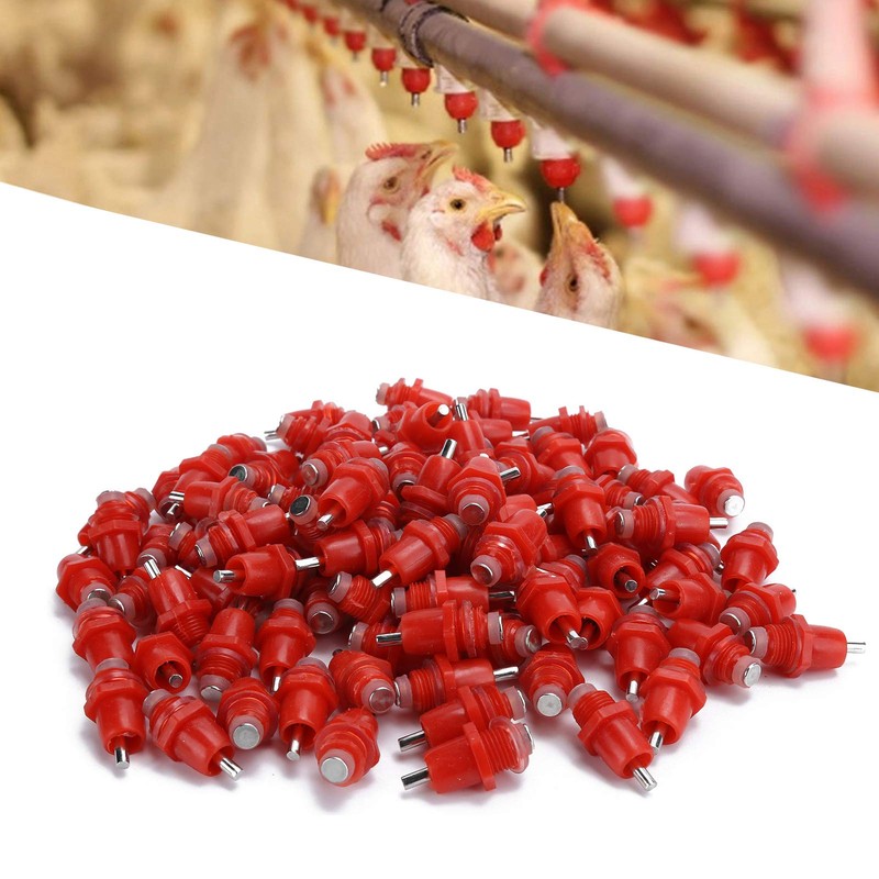 QANYEGN 100Pcs Poultry Screw Style Nippler Waterer, Chicken Nippler Drinker