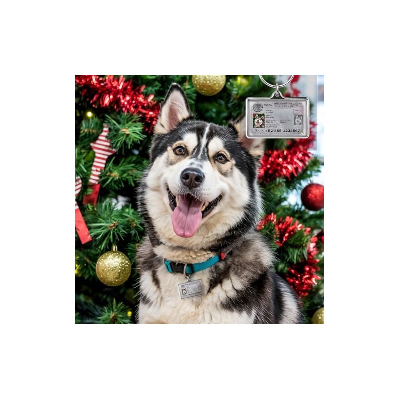 Tarjeta de Identificación Personalizada - Placa Metálica Duradera para Perros