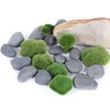 Ausluru 20LB Stones Pebbles River Rocks, 100% Natural Hand-Picked Premium