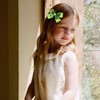 3in Glitter Apple- Green Pigtail Hair Bows Alligator Clips Hair