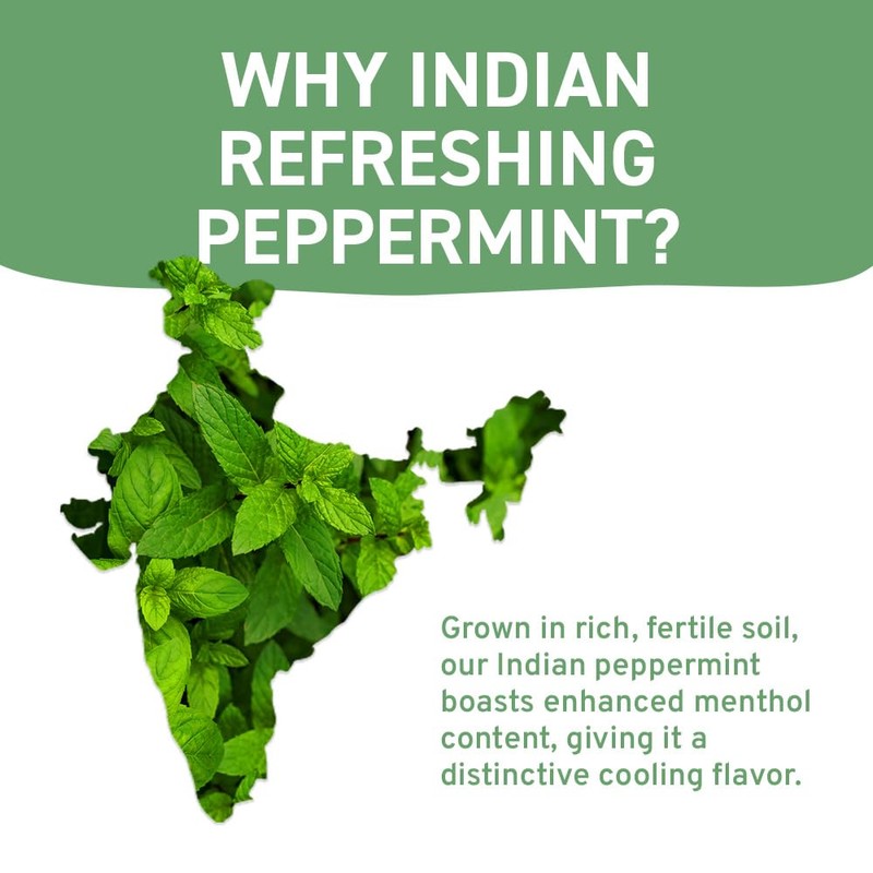 HANDPICK, Peppermint Tea Bags (100 Count) Non-GMO, 100% Pure Peppermint
