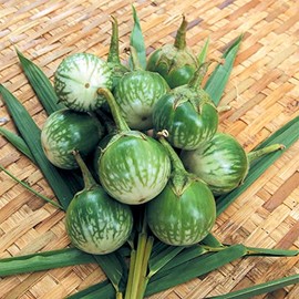 Eggplant Seeds - Thai Round - 1 Oz ~6500 Seeds - Non-GMO, Heirloom - Asian Garden Vegetable