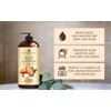Handcraft Blends Sweet Almond Oil - 16 Fl Oz -
