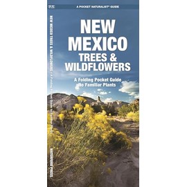 New Mexico Trees & Wildflowers: A Folding Pocket Guide to Familiar Species