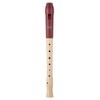 Moeck Flauto 1 Plus 1020 Recorder, Maple Wood, Plastic Head