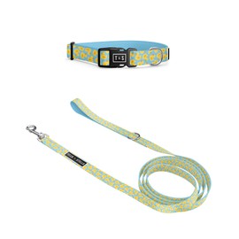 Tella & Stella - Dog Collar & Leash Set for Small Dog - 5 ft Long 5/8″ Leash Wide - Recycled Water Bottles Adjustable Collar 9 to 12.5" - Lined with Neoprene - D Ring for Hooking Accessories (Small)