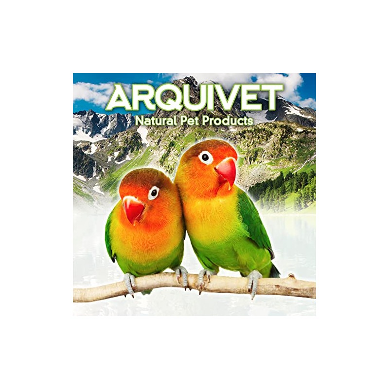 Arquivet Plastic Bird Drinker - Bird Water Container - 13cm
