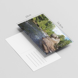 Dear Mapper Vintage United States Maine Landscape Postcards Pack 20pc/Set Postcards from Around the World Greeting Cards for Business World Travel Postcard for Mailing Decor Gift