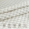 Wondnuga Ultra Soft Velvet Quilt Set King Size - Luxury